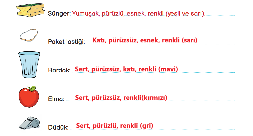 3. Sınıf Fen Bilimleri Ders Kitabı Sayfa 111 Cevapları MEB Yayınları