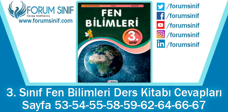 3. Sınıf Fen Bilimleri Ders Kitabı Sayfa 53-54-55-58-59-62-64-66-67. Cevapları SDR Dikey Yayıncılık