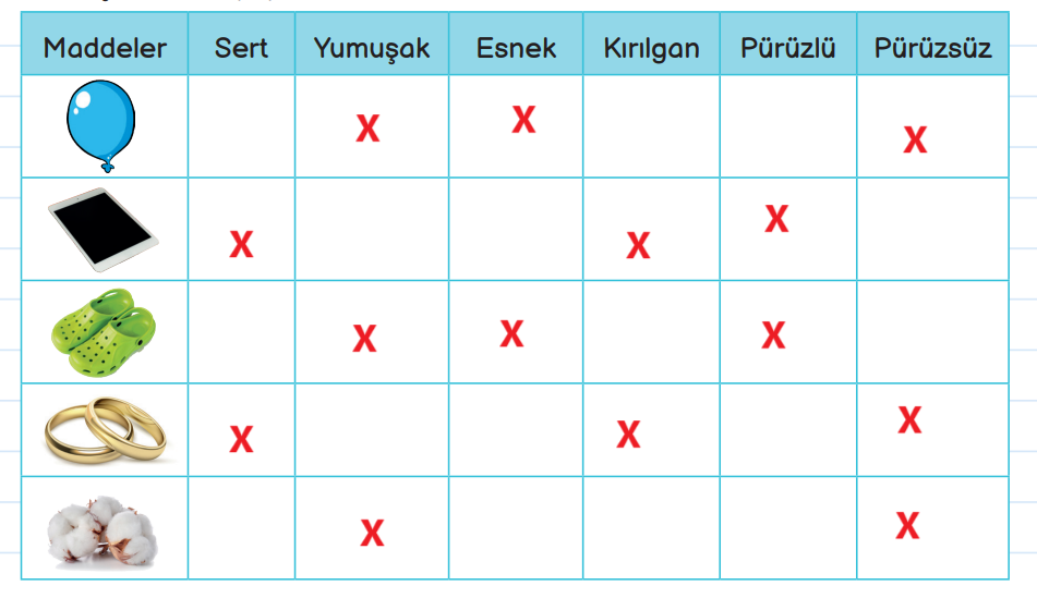 3. Sınıf Fen Bilimleri Ders Kitabı Sayfa 99 Cevapları MEB Yayınları