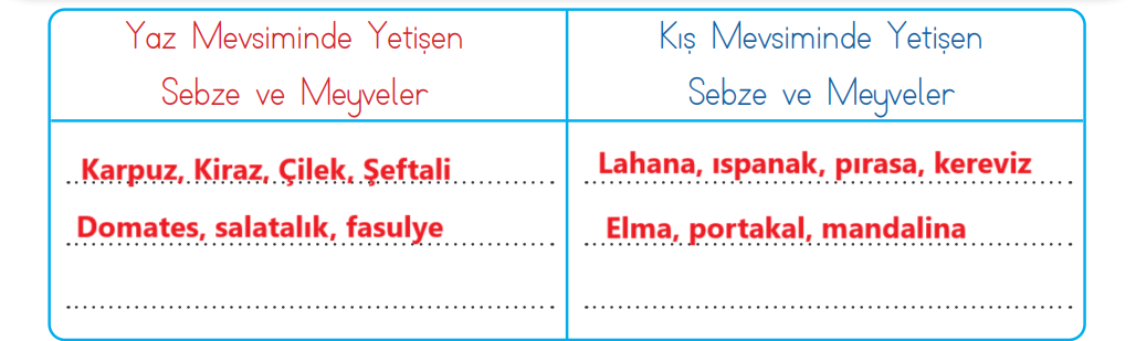 3. Sınıf Hayat Bilgisi Ders Kitabı Sayfa 101 Cevapları SDR İpekyolu Yayıncılık