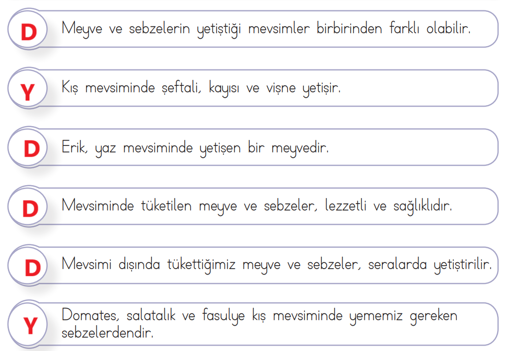 3. Sınıf Hayat Bilgisi Ders Kitabı Sayfa 101 Cevapları SDR İpekyolu Yayıncılık