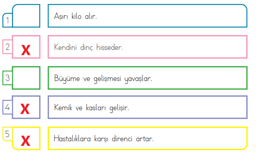 3. Sınıf Hayat Bilgisi Ders Kitabı Sayfa 111 Cevapları SDR İpekyolu Yayıncılık