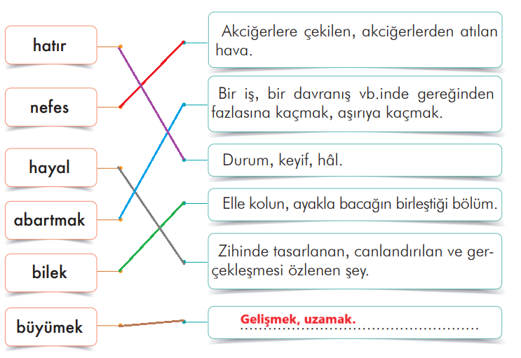 3. Sınıf Türkçe Ders Kitabı Sayfa 144 Cevapları İlke Yayıncılık