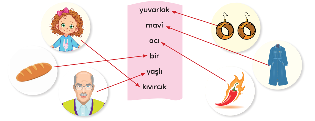 3. Sınıf Türkçe Ders Kitabı Sayfa 147 Cevapları MEB Yayınları