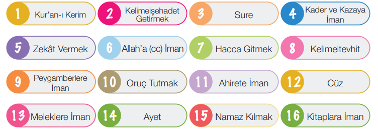 4. Sınıf Din Kültürü Ders Kitabı Sayfa 50 Cevapları MEB Yayınları