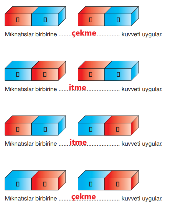 4. Sınıf Fen Bilimleri Ders Kitabı Sayfa 107 Cevapları Pasifik Yayıncılık