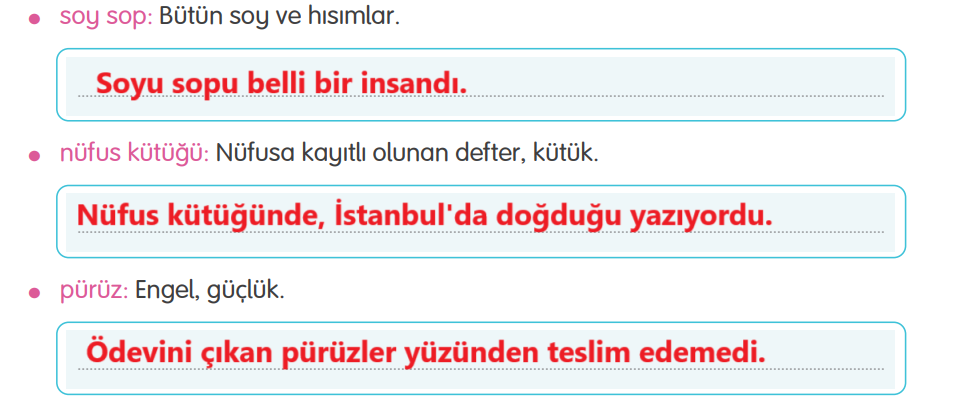 4. Sınıf Türkçe Ders Kitabı Sayfa 117 Cevapları TUNA Yayınları