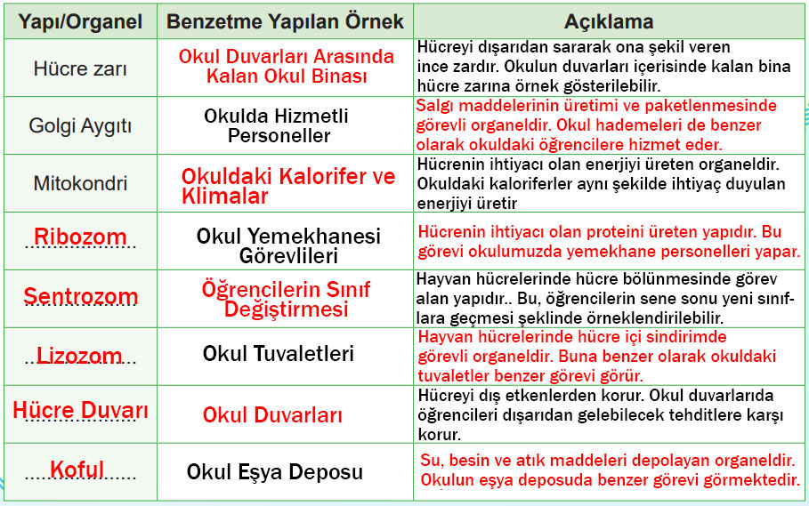 5. Sınıf Fen Bilimleri Ders Kitabı Sayfa 111 Cevapları MEB Yayınları