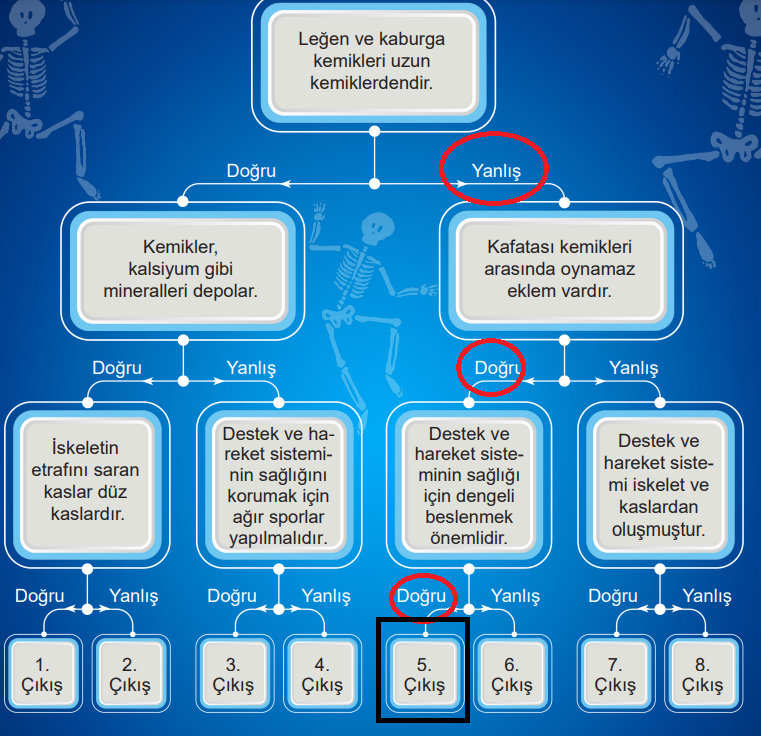 5. Sınıf Fen Bilimleri Ders Kitabı Sayfa 139 Cevapları MEB Yayınları