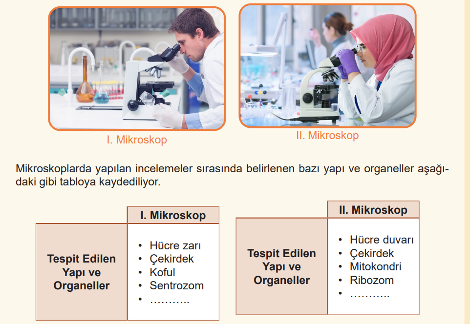 5. Sınıf Fen Bilimleri Ders Kitabı Sayfa 142 Cevapları MEB Yayınları