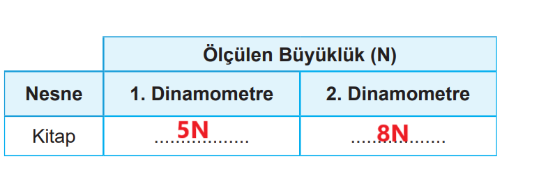 5. Sınıf Fen Bilimleri Ders Kitabı Sayfa 62 Cevapları MEB Yayınları