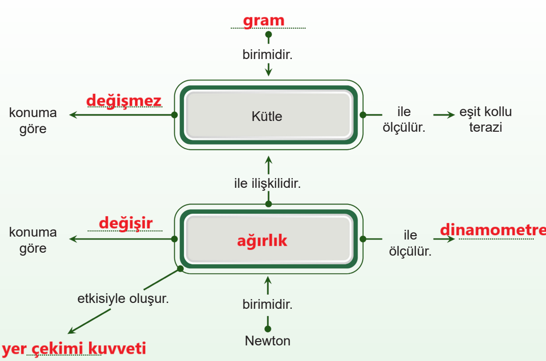 5. Sınıf Fen Bilimleri Ders Kitabı Sayfa 75 Cevapları MEB Yayınları