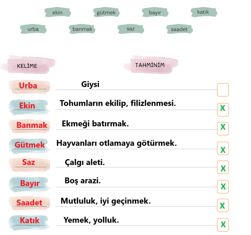 5. Sınıf Türkçe Ders Kitabı Sayfa 161 Cevapları MEB Yayınları