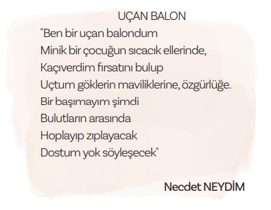 5. Sınıf Türkçe Ders Kitabı Sayfa 163 Cevapları MEB Yayınları