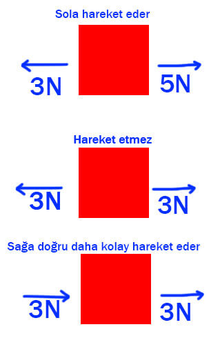 6. Sınıf Fen Bilimleri Ders Kitabı Sayfa 103 Cevapları Gün Yayınları