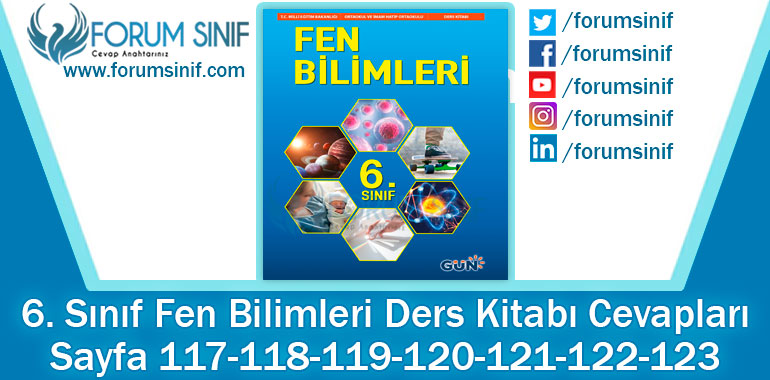 6. Sınıf Fen Bilimleri Ders Kitabı Sayfa 117-118-119-120-121-122-123. Cevapları GÜN Yayıncılık