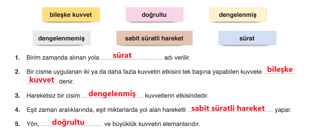 6. Sınıf Fen Bilimleri Ders Kitabı Sayfa 117 Cevapları Gün Yayınları