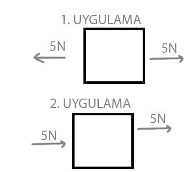 6. Sınıf Fen Bilimleri Ders Kitabı Sayfa 99 Cevapları Gün Yayınları