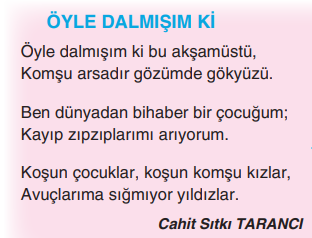 6. Sınıf Türkçe Ders Kitabı Sayfa 105 Cevapları Yıldırım Yayınları