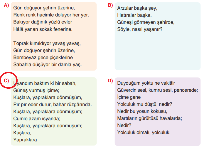 6. Sınıf Türkçe Ders Kitabı Sayfa 107 Cevapları Yıldırım Yayınları