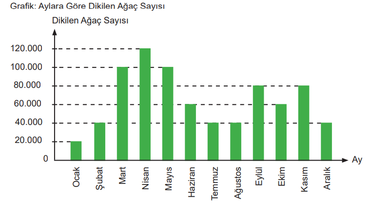 6. Sınıf Türkçe Ders Kitabı Sayfa 81 Cevapları MEB Yayınları