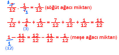 7. Sınıf Matematik Ders Kitabı Sayfa 99 Cevapları EDAT Yayınları