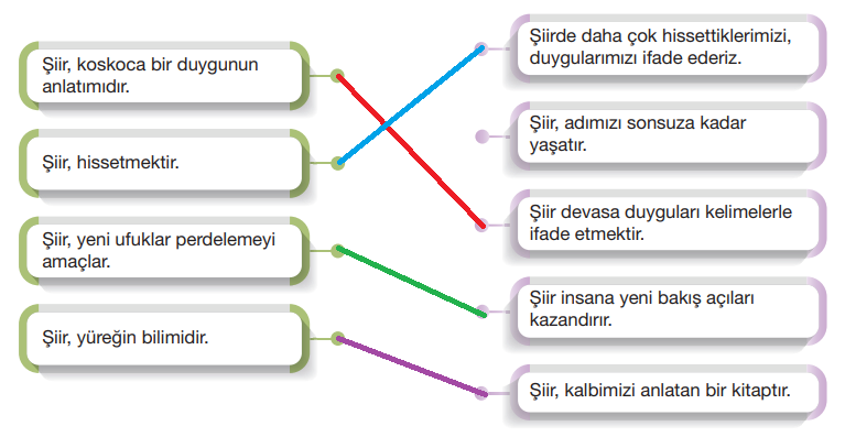 7.  Sınıf Türkçe Ders Kitabı Sayfa 87 Cevapları Özgün Yayınları