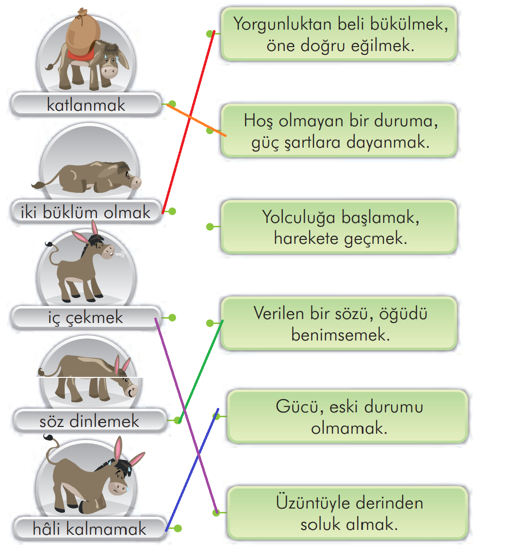 2. Sınıf Türkçe Ders Kitabı Sayfa 134 Cevapları İlke Yayıncılık