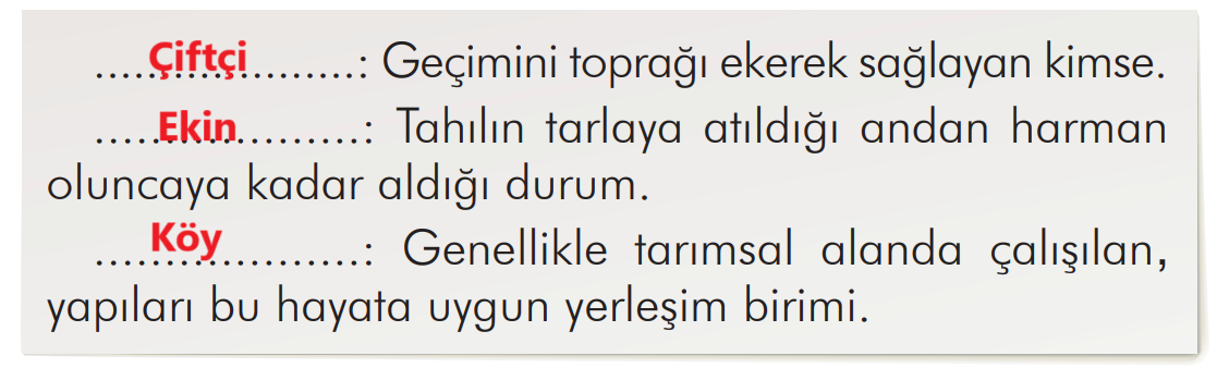 2. Sınıf Türkçe Ders Kitabı Sayfa 141 Cevapları İlke Yayıncılık