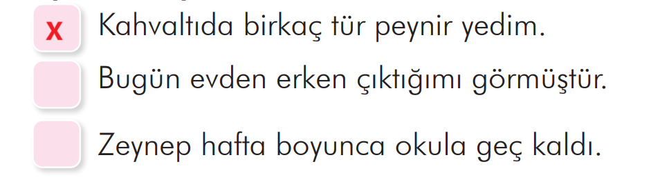 2. Sınıf Türkçe Ders Kitabı Sayfa 163 Cevapları İlke Yayıncılık