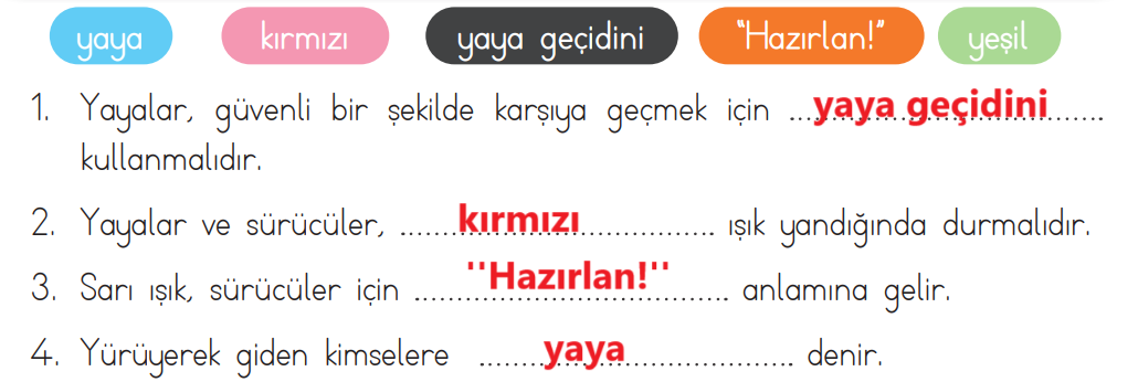 3. Sınıf Hayat Bilgisi Ders Kitabı Sayfa 120 Cevapları MEB Yayınları