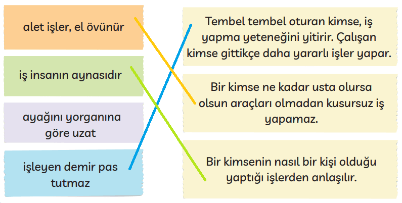 3. Sınıf Türkçe Ders Kitabı Sayfa 176 Cevapları MEB Yayınları