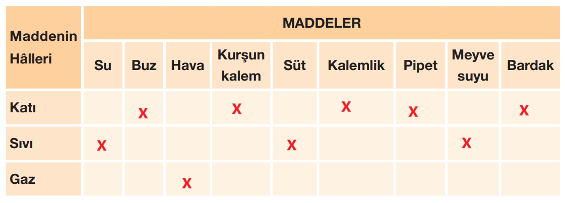 4. Sınıf Fen Bilimleri Ders Kitabı Sayfa 135 Cevapları Pasifik Yayıncılık