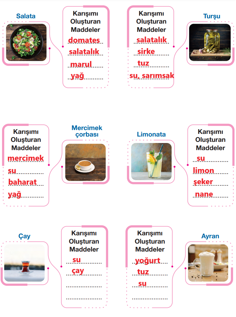 4. Sınıf Fen Bilimleri Ders Kitabı Sayfa 156 Cevapları Pasifik Yayıncılık