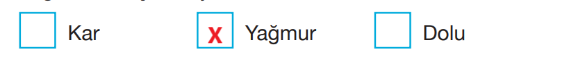 4. Sınıf Fen Bilimleri Ders Kitabı Sayfa 160 Cevapları Pasifik Yayıncılık