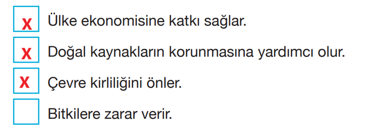 4. Sınıf Fen Bilimleri Ders Kitabı Sayfa 160 Cevapları Pasifik Yayıncılık