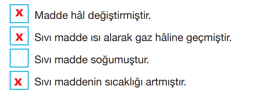 4. Sınıf Fen Bilimleri Ders Kitabı Sayfa 161 Cevapları Pasifik Yayıncılık