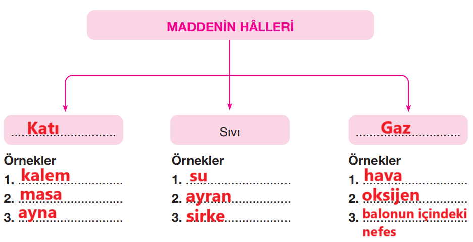 4. Sınıf Fen Bilimleri Ders Kitabı Sayfa 163 Cevapları Pasifik Yayıncılık