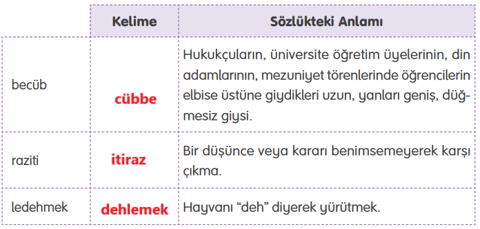 4. Sınıf Türkçe Ders Kitabı Sayfa 146 Cevapları TUNA Yayınları