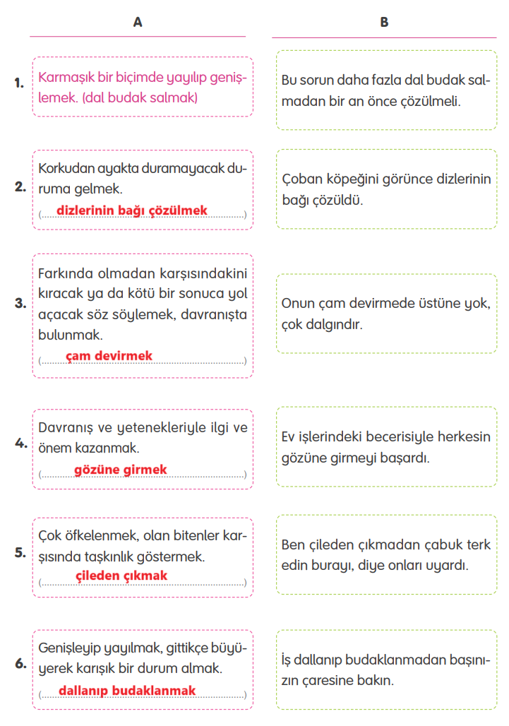 4. Sınıf Türkçe Ders Kitabı Sayfa 169 Cevapları TUNA Yayınları