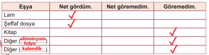 5. Sınıf Fen Bilimleri Ders Kitabı Sayfa 28 Cevapları MEB Yayınları