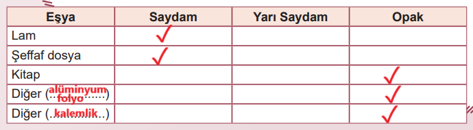 5. Sınıf Fen Bilimleri Ders Kitabı Sayfa 28 Cevapları MEB Yayınları1