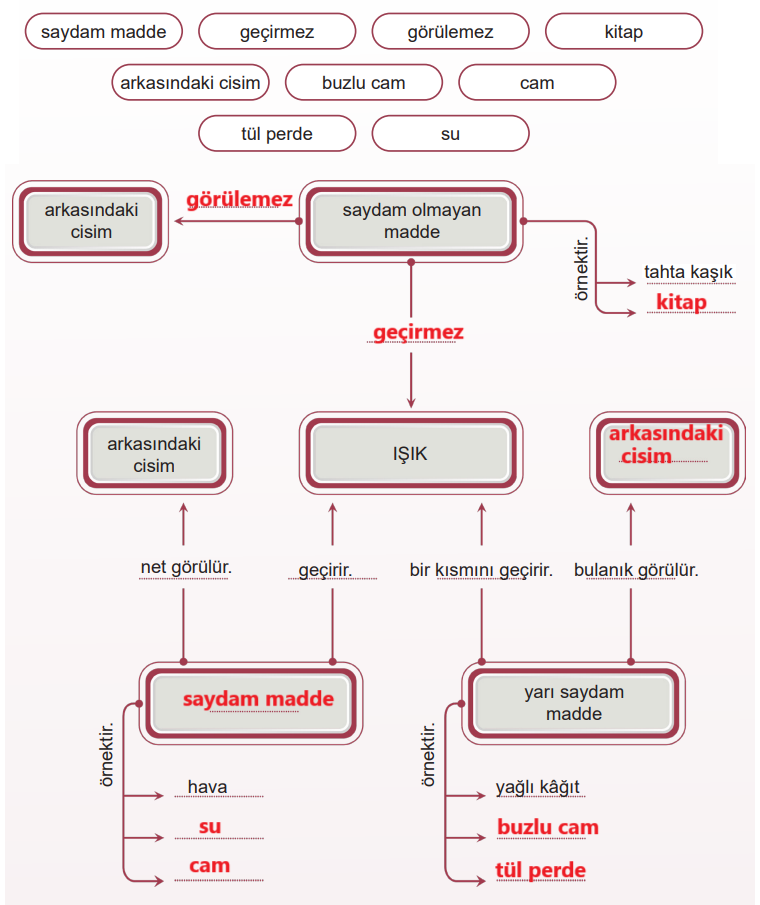 5. Sınıf Fen Bilimleri Ders Kitabı Sayfa 33 Cevapları MEB Yayınları