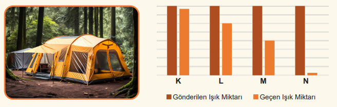 5. Sınıf Fen Bilimleri Ders Kitabı Sayfa 46 Cevapları MEB Yayınları