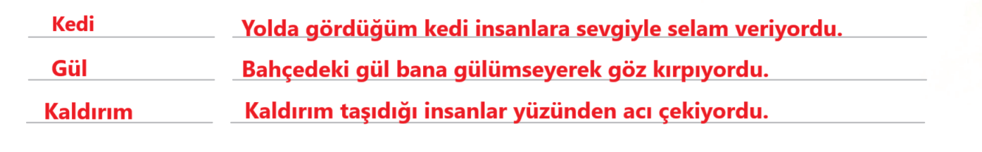 5. Sınıf Türkçe Ders Kitabı Sayfa 33 Cevapları MEB Yayınları