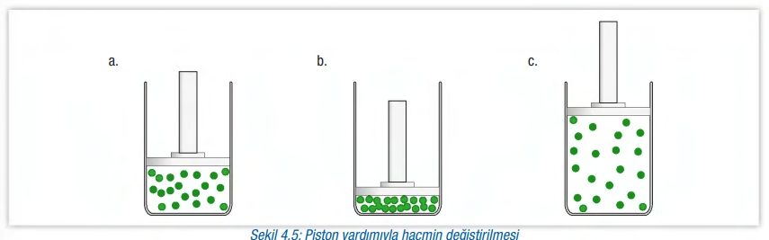 6. Sınıf Fen Bilimleri Ders Kitabı Sayfa 133 Cevapları Gün Yayınları