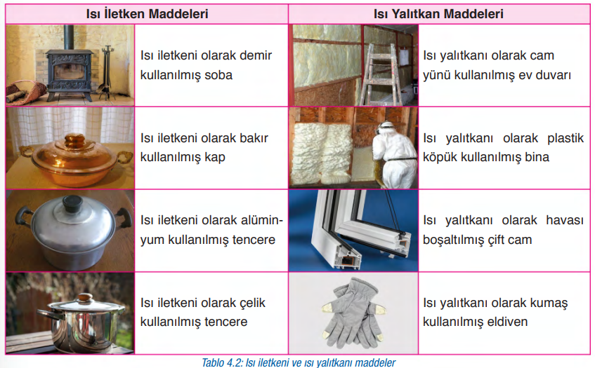 6. Sınıf Fen Bilimleri Ders Kitabı Sayfa 147 Cevapları Gün Yayınları