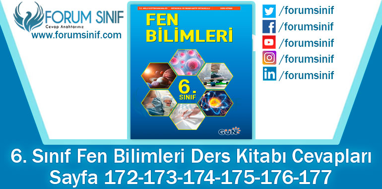 6. Sınıf Fen Bilimleri Ders Kitabı Sayfa 172-173-174-175-176-177. Cevapları GÜN Yayıncılık