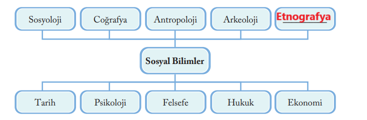 6. Sınıf Sosyal Bilgiler Ders Kitabı Sayfa 134 Cevapları EVOS Yayıncılık 