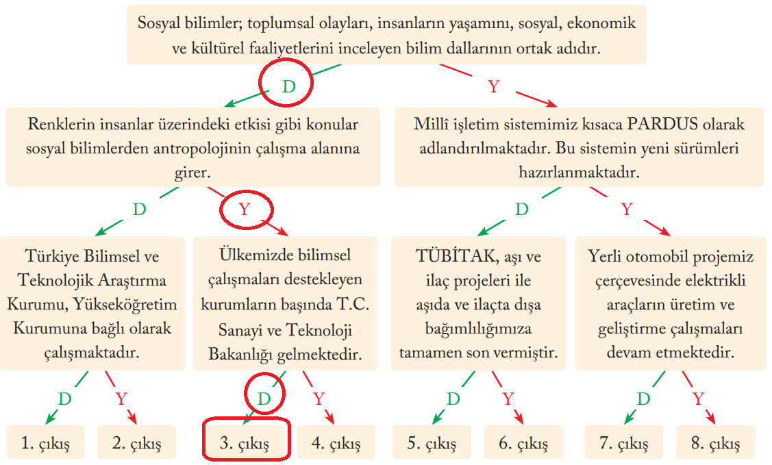 6. Sınıf Sosyal Bilgiler Ders Kitabı Sayfa 141 Cevapları EVOS Yayıncılık